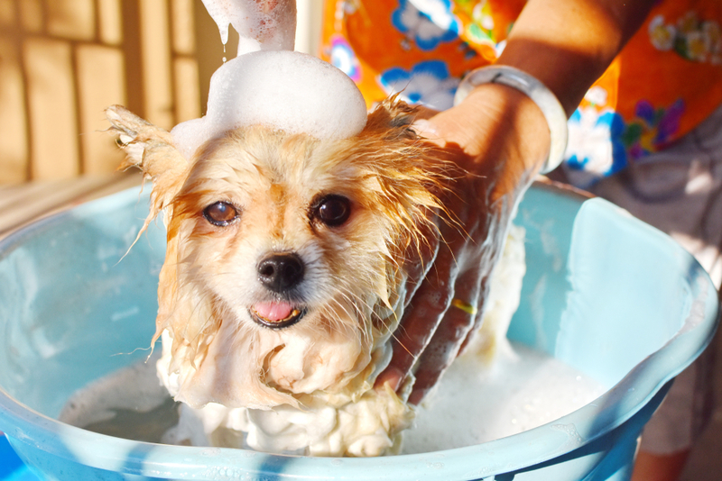 Micro-bubble Baths | Shutterstock