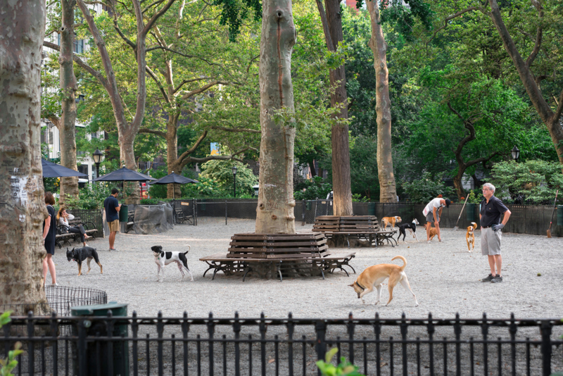 Visit Dog Parks | Alamy Stock Photo