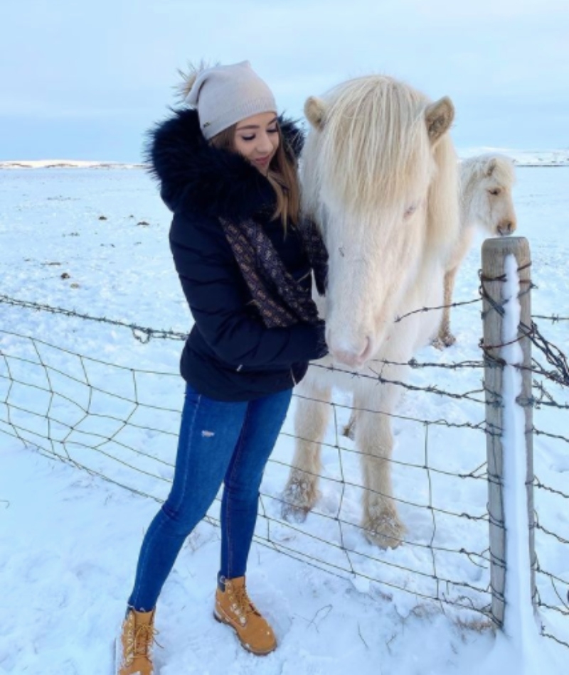 Icelandic Horse | Instagram/@weronika.bryk