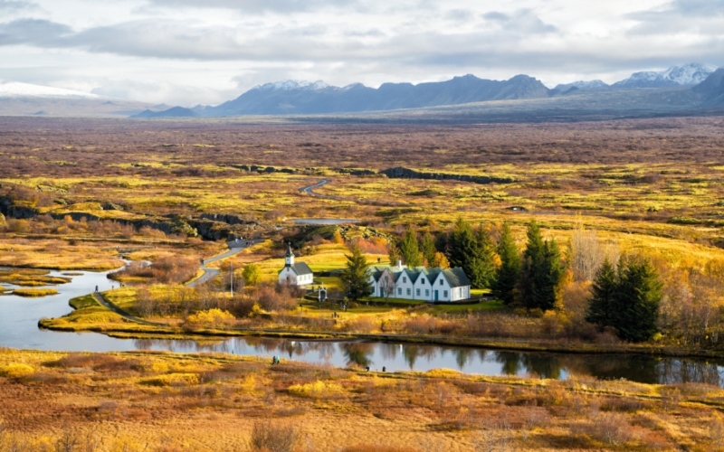 Iceland Was Once Covered in Trees | Alamy Stock Photo by Roman Stetsyk 