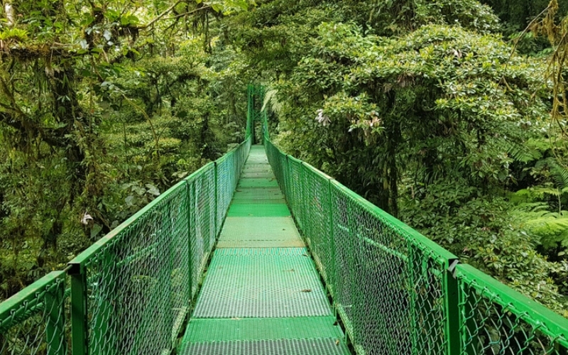 Suspension Bridge Montenegro, Costa Rica | Shutterstock Photo by Aves y estrellas
