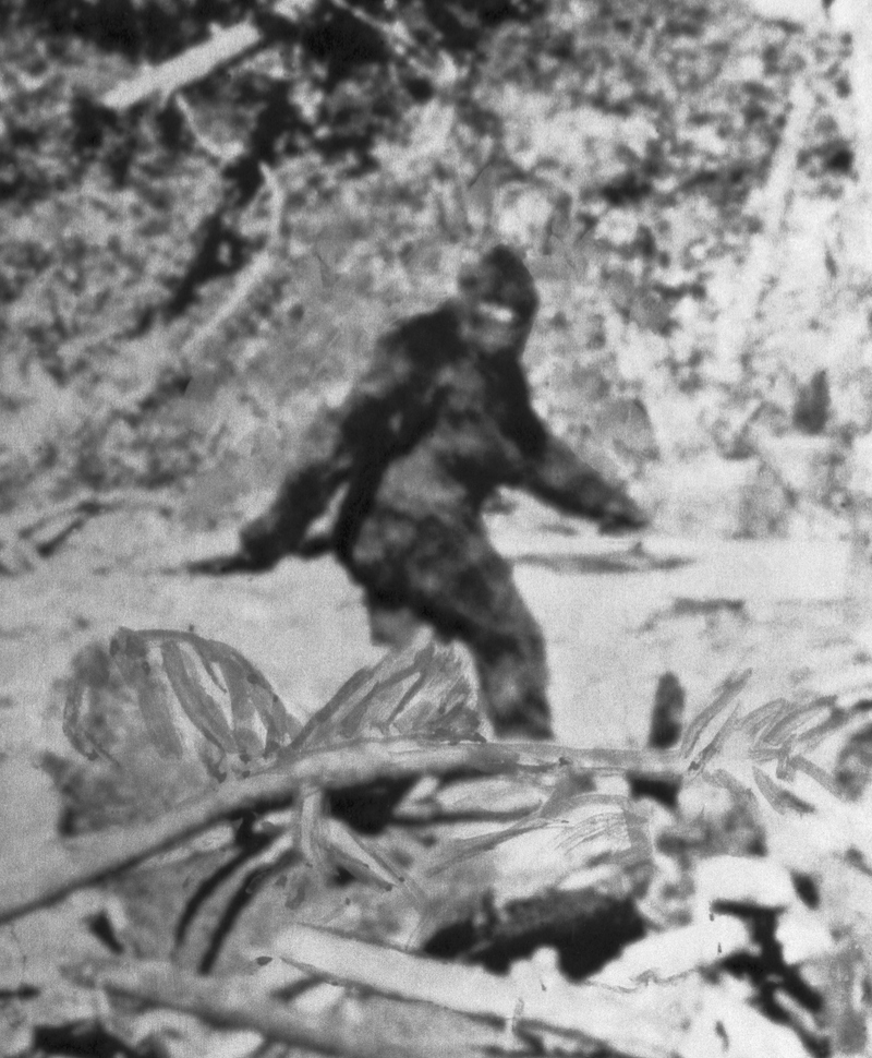 Bigfoot | Getty Images Photo by Bettmann