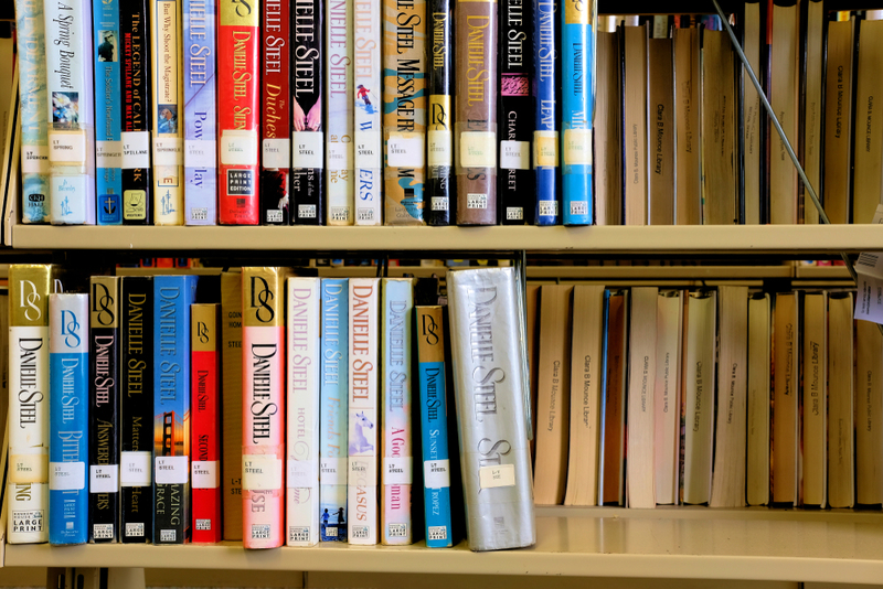 Danielle Steel-Romane lesen | ImagenX/Shutterstock