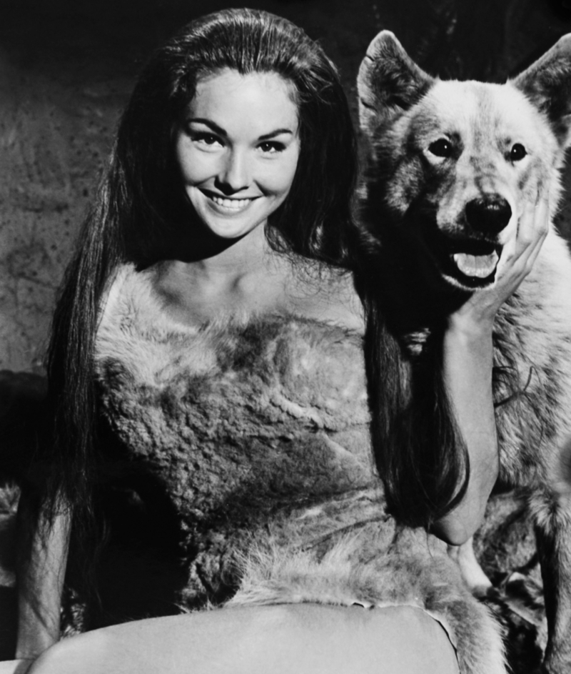 Bitte lächeln! ,,Mara of the Wilderness” ,In den Rollen: Lori Saunders und  der Wolf, 1965 | Alamy Stock Photo by Ron Harvey/Everett Collection Inc