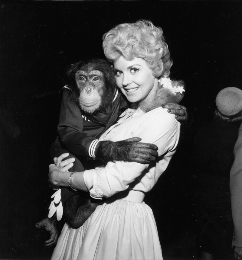 Donna Douglas als ‘Elly May Clampett’ - The Beverly Hillbillies, 1962 | Alamy Stock Photo by Globe Photos/ZUMAPRESS.com/Alamy Live News