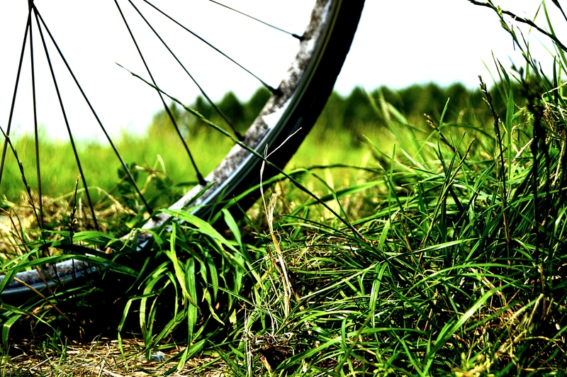 Fill a Tire With Grass | Alamy Stock Photo