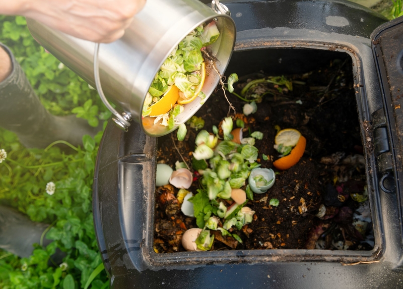 Glorious, Glorious Composting | Shutterstock