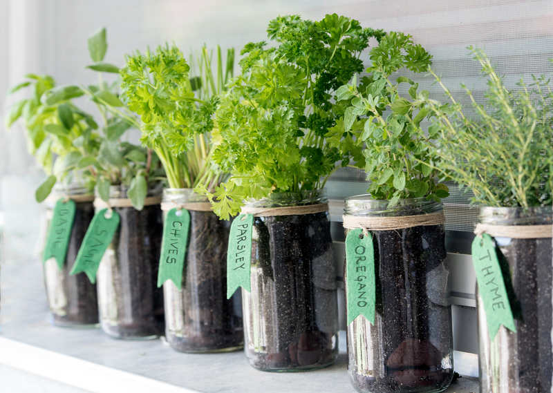 Create a Home Herb Garden | Alamy Stock Photo