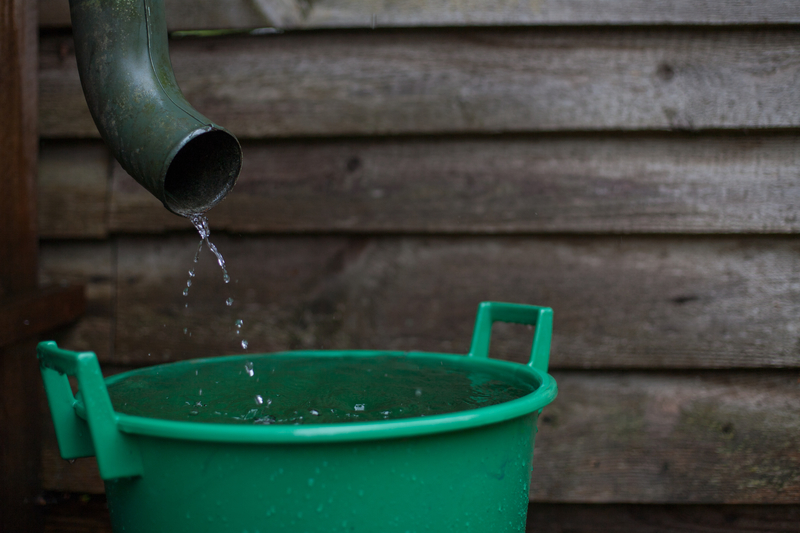 Make Good Use of Free Water | Shutterstock