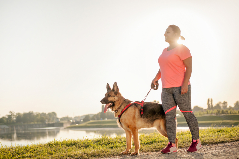 Walking Your Dog on a Hot Summer’s Day? Here Is How to Keep It Cool | Shutterstock